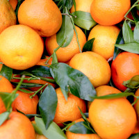 Mandarin Orange