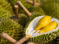 Durian