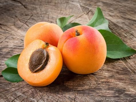 Apricot