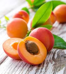Apricot fruits from chennai