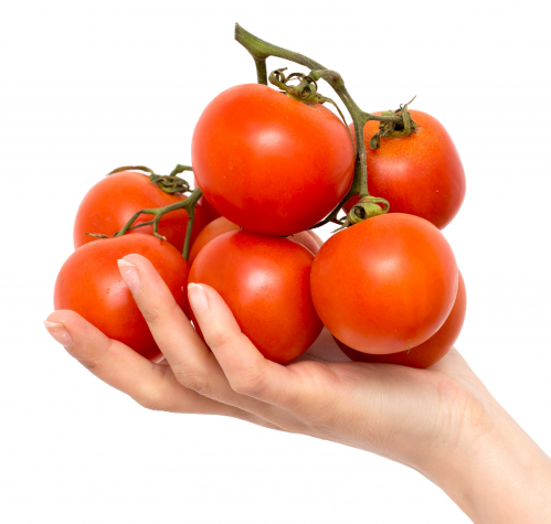 Tomato