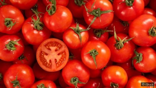 Tomato