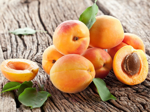 Apricot
