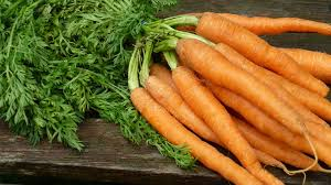 Carrot (organic)