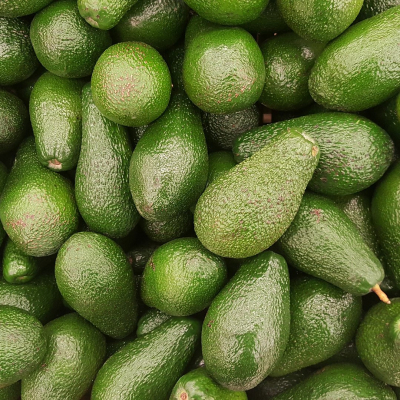 Avacado