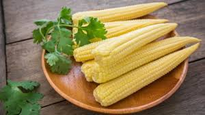 Maize