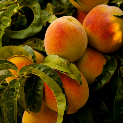 Peaches